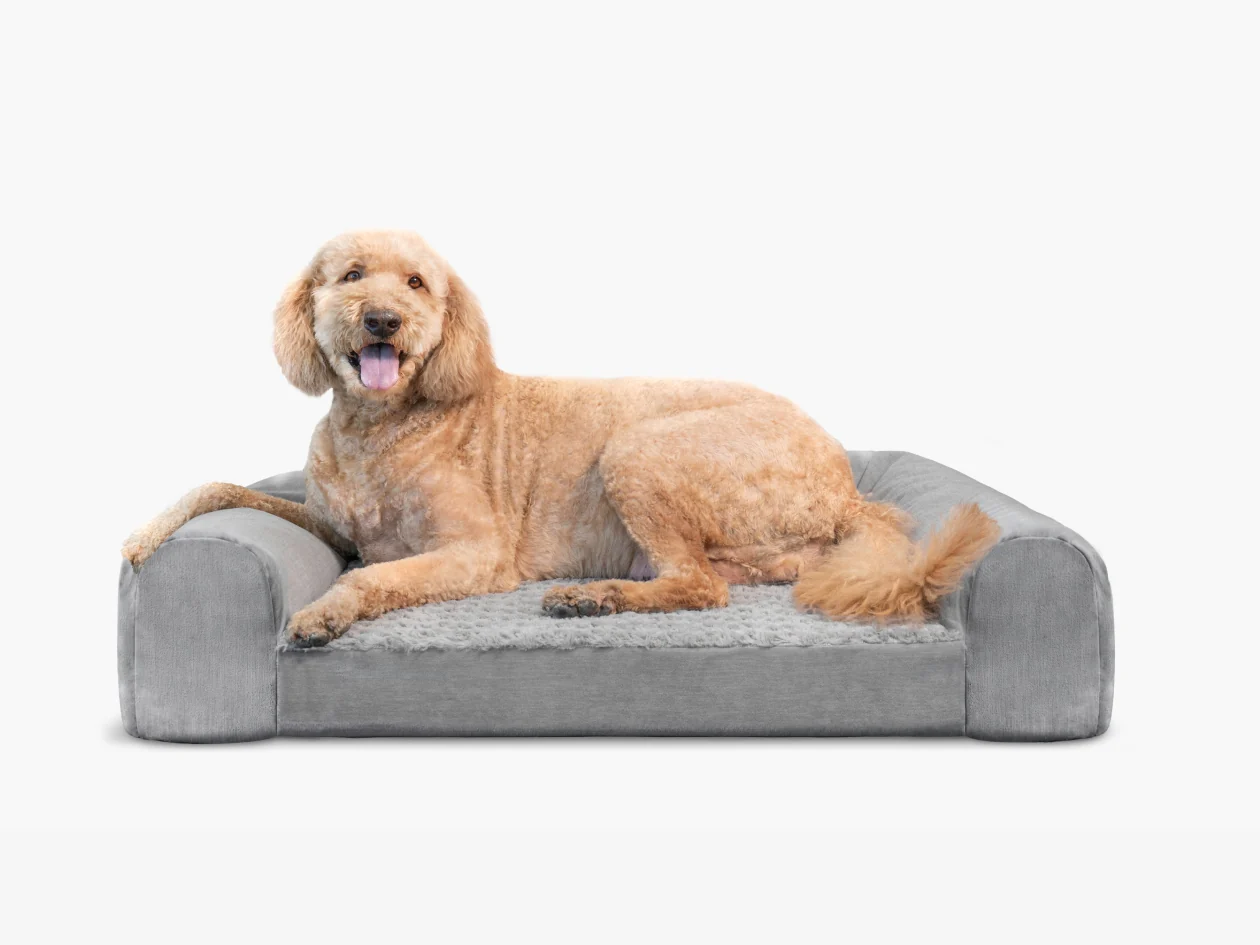 BB Pet Bed - Image 4