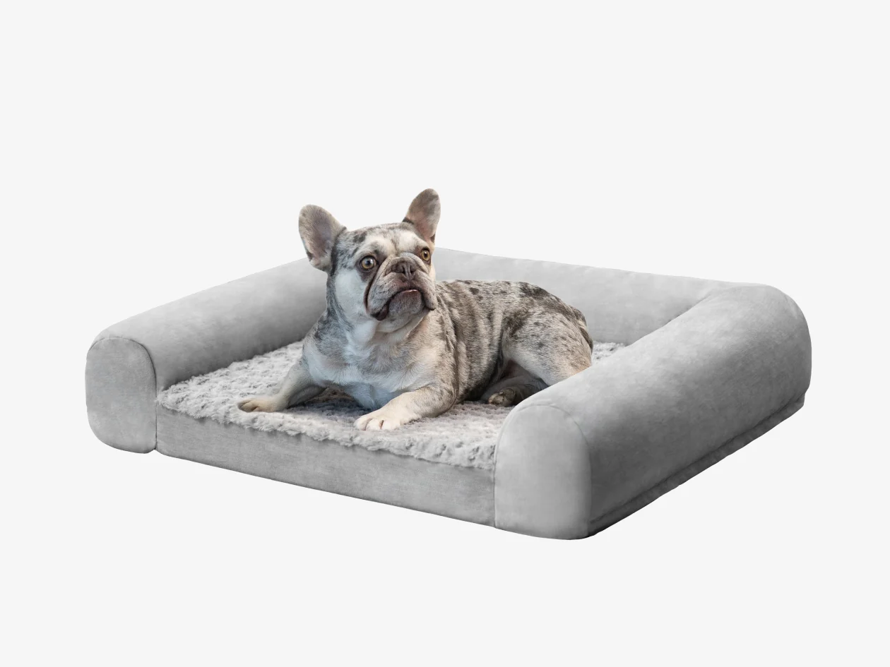 BB Pet Bed - Image 6