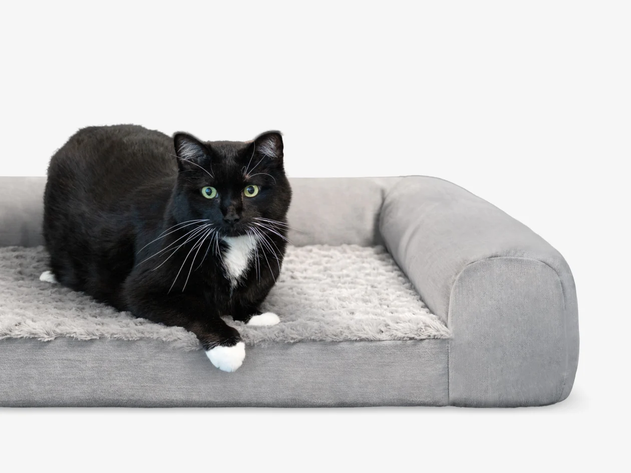 BB Pet Bed - Image 8