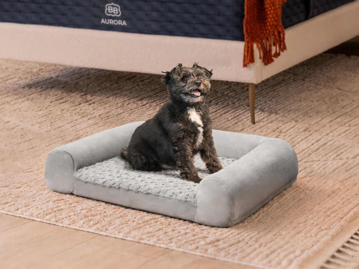 BB Pet Bed - Image 9