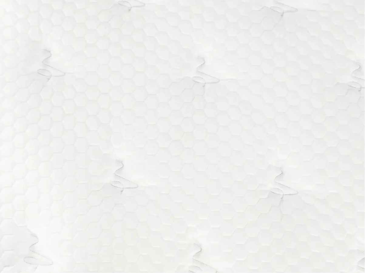 Titan® Plus Luxe - Image 11